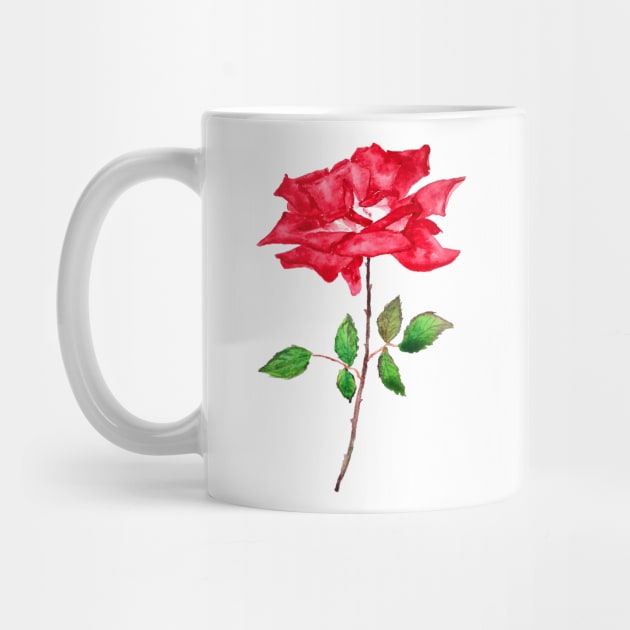 aesthetic red  rose  flower designs by colorandcolor